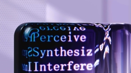 pexels-googledeepmind-18069693